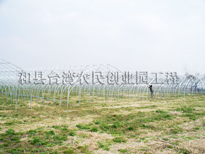 温室大棚|和县台湾农民创业园