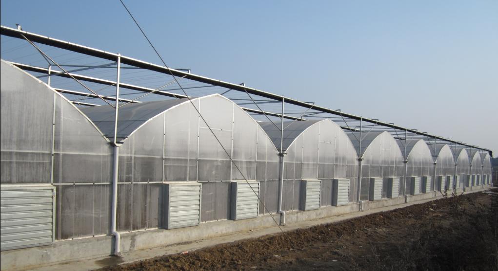 新疆温室大棚建筑结构用管