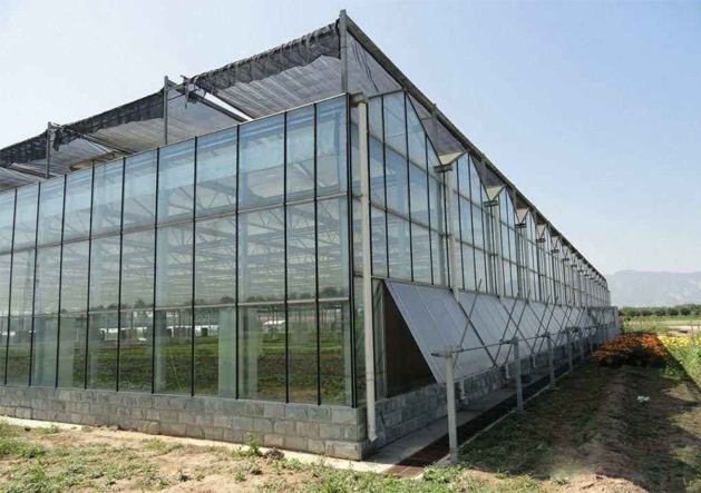 安徽温室大棚造价性能